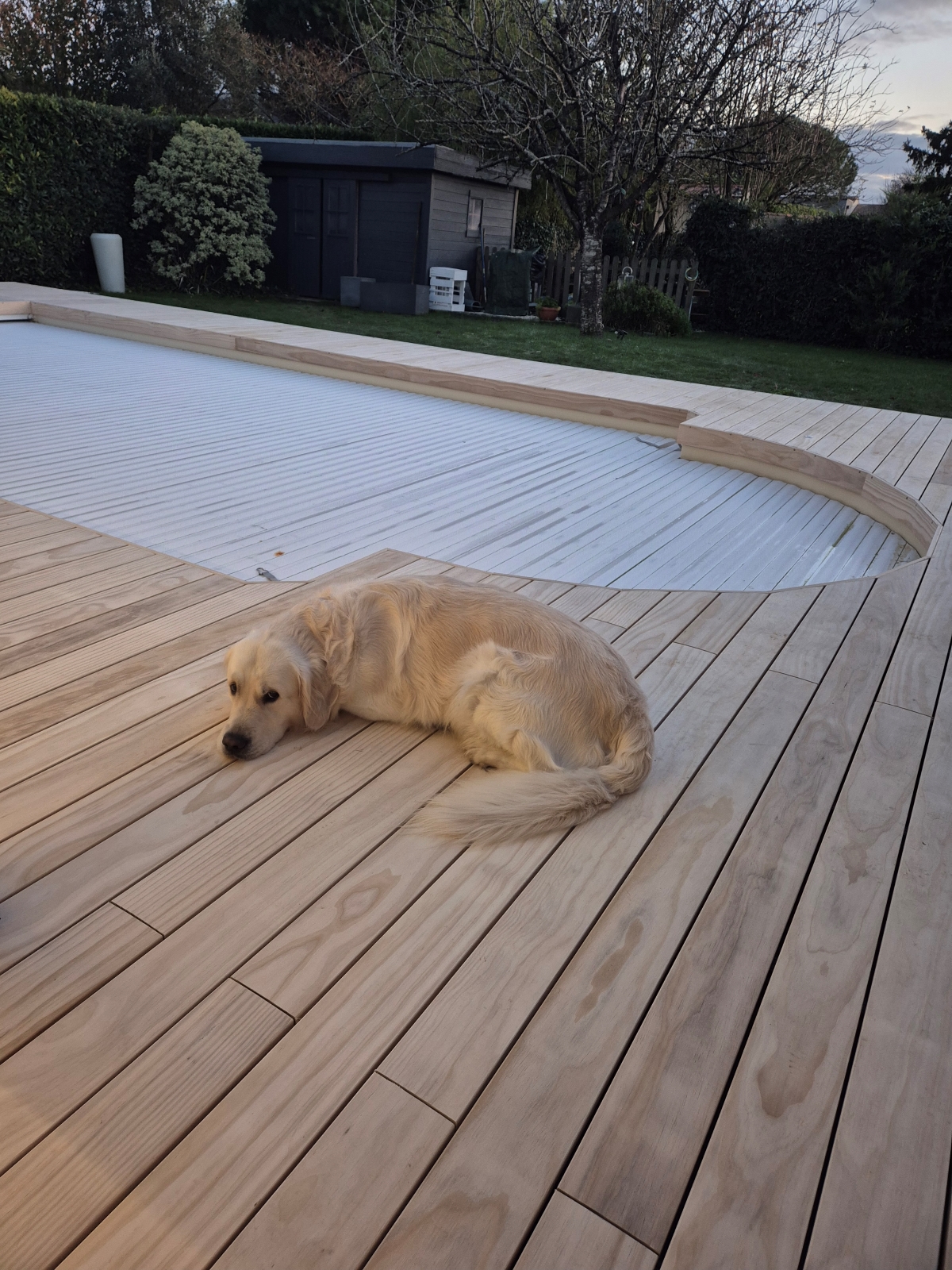 Terrasse et plage de piscine en bois Grad à Niort