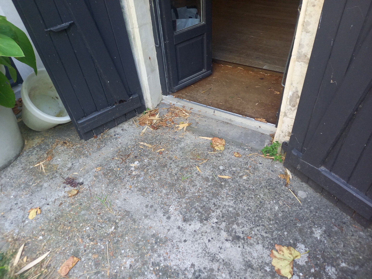 Après - Optimisation d’un extérieur à Loix : une terrasse bois sur-mesure à l’Île-de-Ré