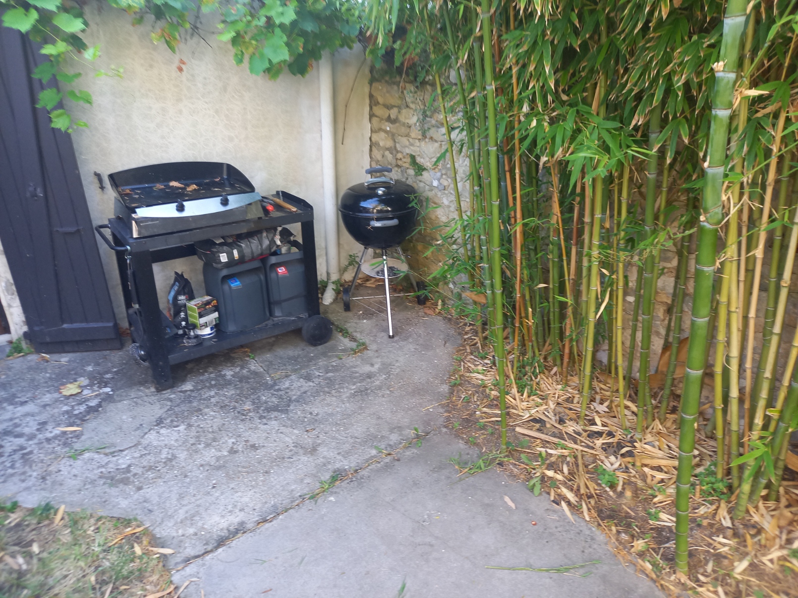 Après - Optimisation d’un extérieur à Loix : une terrasse bois sur-mesure à l’Île-de-Ré