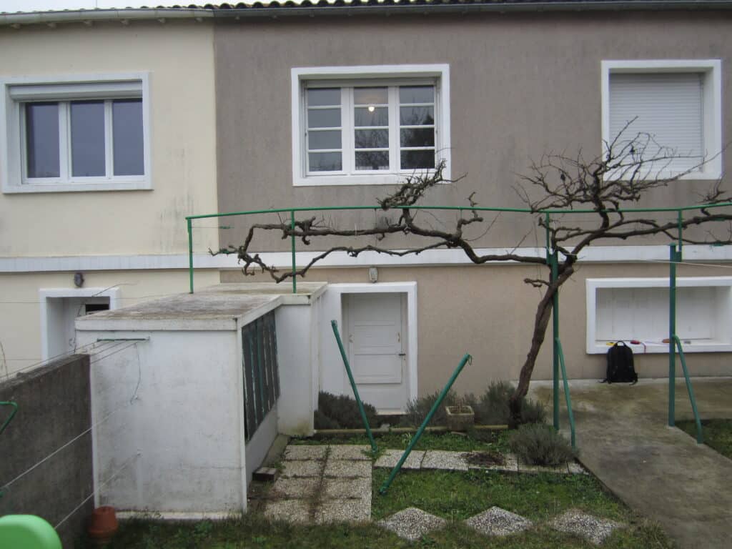 Façade de maison bicolore avec vigne noueuse sur structure verte, fenêtres blanches et petit abri de jardin.